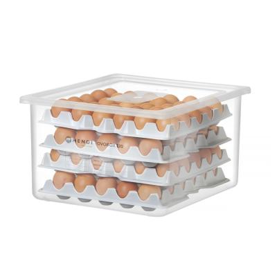 Kontejner na vejce HENDI OVOBOX 120, HENDI, GN 2/3, 18L, 355x325x(H)200mm, Obdélníkové | 870785